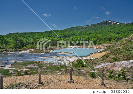 【後生掛自然研究路】 秋田県鹿角市八幡平熊沢国有林３３ 53839059