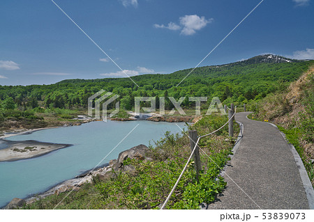 【後生掛自然研究路】 秋田県鹿角市八幡平熊沢国有林33 【後生掛自然研究路】 秋田県鹿角市八幡平熊沢国有林33 53839073