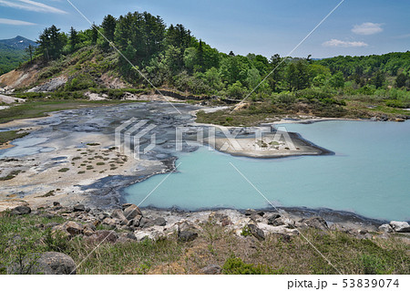 【後生掛自然研究路】 秋田県鹿角市八幡平熊沢国有林３３ 53839074