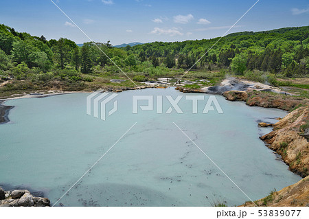 【後生掛自然研究路】 秋田県鹿角市八幡平熊沢国有林３３ 53839077