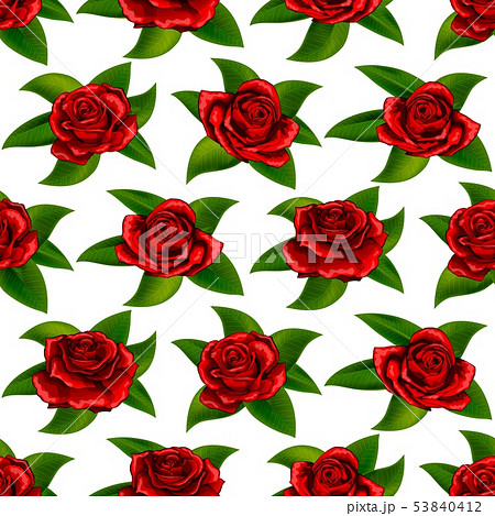 Beautiful red rose flowers seamless floral summer pattern vector background 53840412