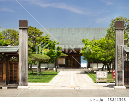 埼玉県　こしがや能楽堂 53841548