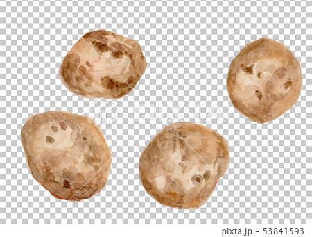 Solanum tuberosum potatoes 53841593