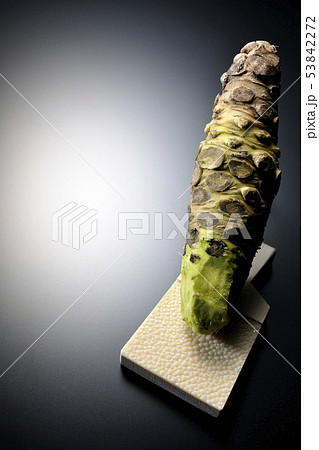 わさびと鮫皮おろし わさびと鮫皮おろし 53842272