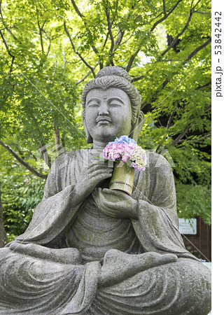 長谷寺(鎌倉市長谷) 53842442