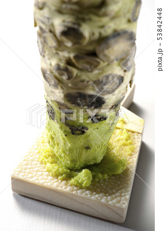 わさびと鮫皮おろし 53842448
