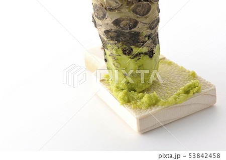 わさびと鮫皮おろし 53842458