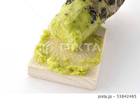 わさびと鮫皮おろし 53842465
