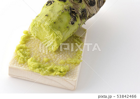 わさびと鮫皮おろし 53842466