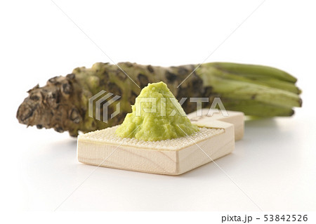 わさび わさび 53842526