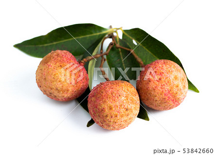 葉付きライチ白背景の写真素材