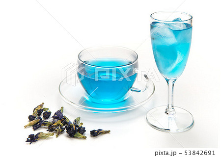 バタフライピーのお茶 バタフライピーのお茶 53842691