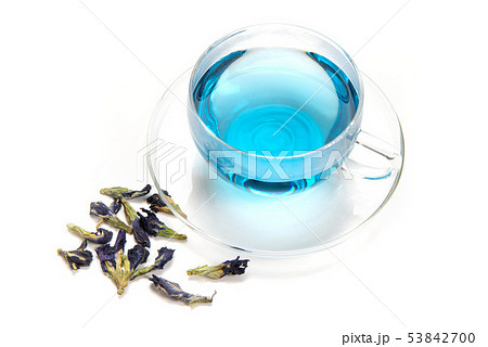 バタフライピーのお茶 53842700