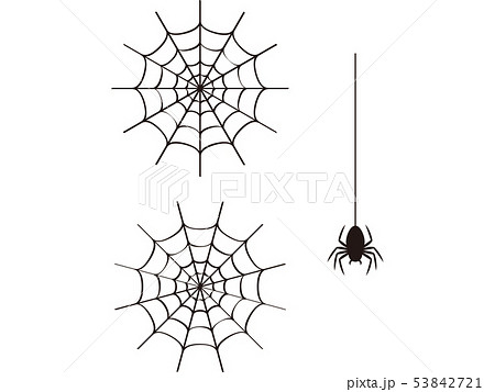 ハロウィン 蜘蛛の巣のイラスト素材