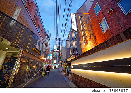 日本の東京都市景観 鶯谷駅周辺のホテル街などを望む 日本の東京都市景観 鶯谷駅周辺のホテル街などを望む 53843857