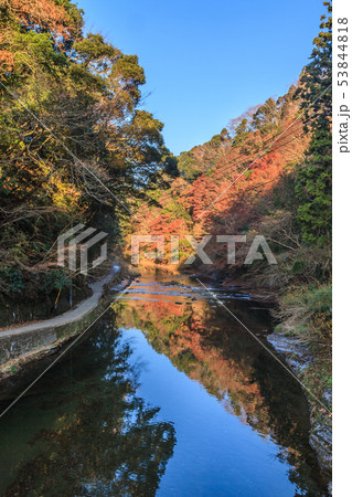 秋の養老渓谷の共栄橋からみた中瀬遊歩道の風景 秋の養老渓谷の共栄橋からみた中瀬遊歩道の風景 53844818