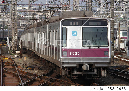 ［Z］東京地下鉄半蔵門線8000系 53845088