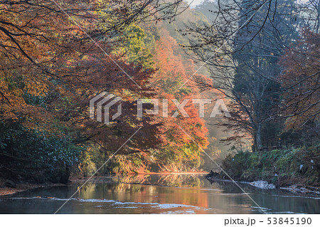 秋の養老渓谷の中瀬遊歩道の風景 秋の養老渓谷の中瀬遊歩道の風景 53845190