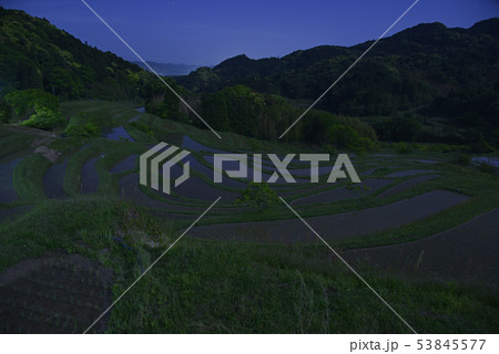月夜の大山千枚田 【千葉県鴨川市】 月夜の大山千枚田 【千葉県鴨川市】 53845577