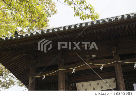 阿智神社 53845988