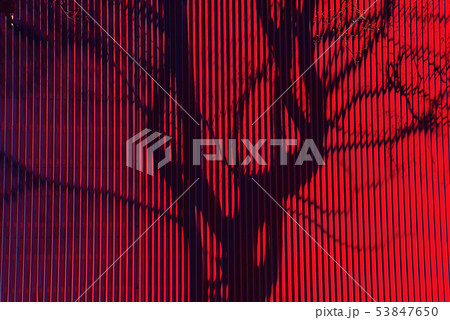 Shadows on the wall 53847650