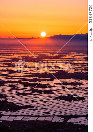 《新潟県》越後平野の夜明け・水鏡の田園風景 53847726