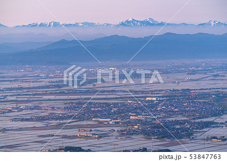 《新潟県》早朝の越後平野・広大な田園風景 《新潟県》早朝の越後平野・広大な田園風景 53847763