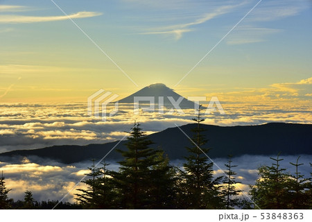 南アルプス千枚小屋から朝焼けの雲海と笠雲かかる富士山 南アルプス千枚小屋から朝焼けの雲海と笠雲かかる富士山 53848363