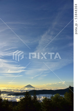 南アルプス千枚小屋から朝焼けの雲海と笠雲かかる富士山 南アルプス千枚小屋から朝焼けの雲海と笠雲かかる富士山 53848364