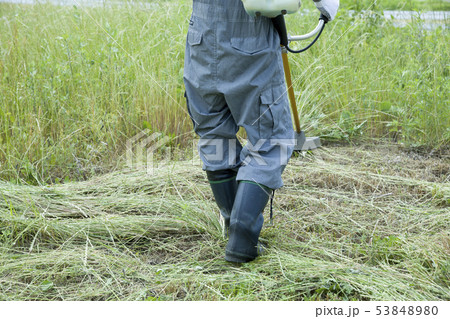 草刈り、除草イメージ　草刈り機を持つ男性 53848980