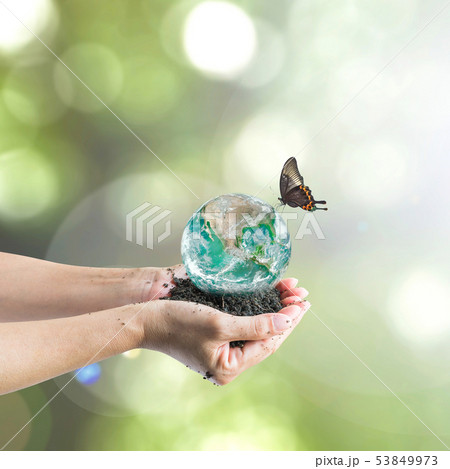 World environment and world soil day concept World environment and world soil day concept 53849973