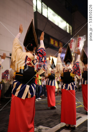 阿波踊り 53850226