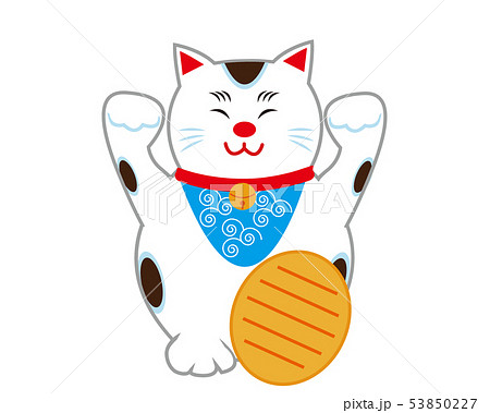 猫　招き猫　小判 53850227