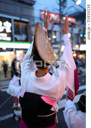 阿波踊り 阿波踊り 53850236