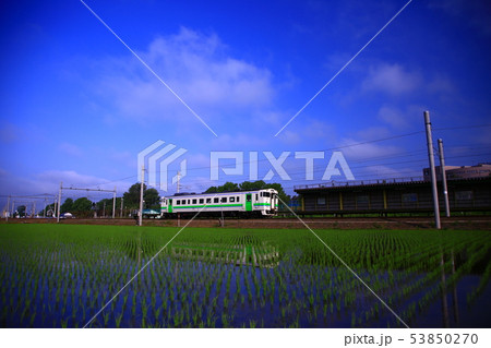 水田と電車 水田と電車 53850270