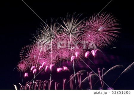 2019年京都芸術花火 53851206