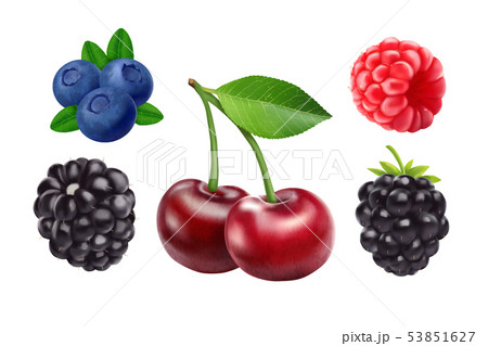 Blackberries cherry, blueberries andのイラスト素材 [53851627
