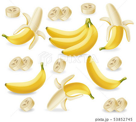 Banana Fruits Set Vector Realistic Posterのイラスト素材