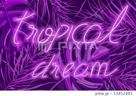 Tropical dream neon banner Vector. Summer hot Tropical dream neon banner Vector. Summer hot 53852885