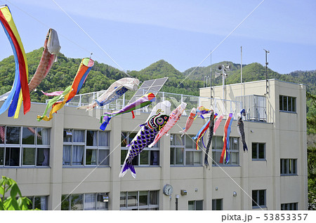 小学校の鯉のぼり(擬似空撮) 小学校の鯉のぼり(擬似空撮) 53853357