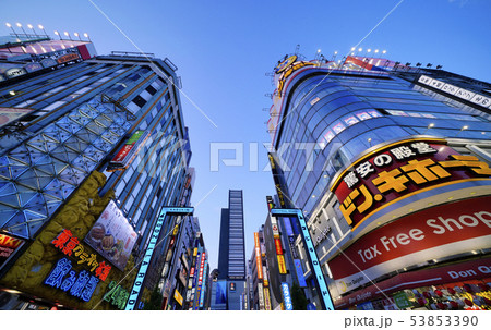 日本の東京都市景観 歌舞伎町を望む(夜景) 日本の東京都市景観 歌舞伎町を望む(夜景) 53853390