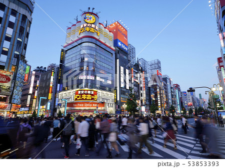 日本の東京都市景観 歌舞伎町を望む(夜景) 日本の東京都市景観 歌舞伎町を望む(夜景) 53853393