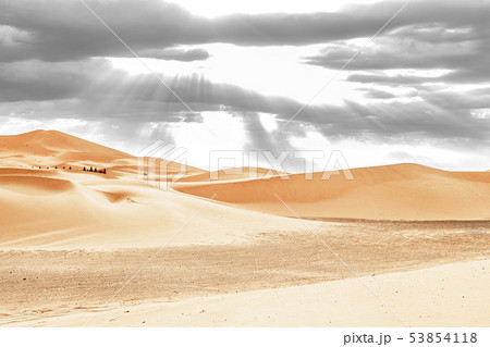 Caravan going through the sand dunes in the Sahara 53854118