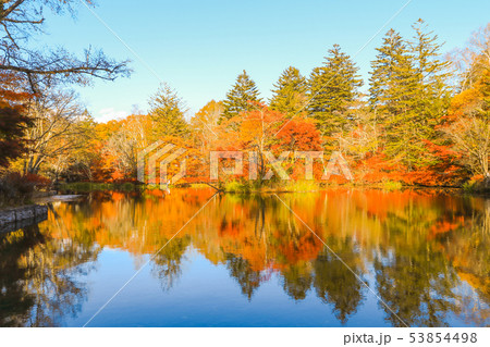 Beautiful Japan autumn at Kumoba Pond or Kumoba Beautiful Japan autumn at Kumoba Pond or Kumoba 53854498