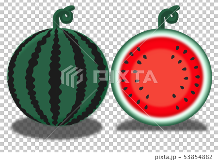 Maru(○)2“rei”“wa”不情願的西瓜 Maru(○)2“rei”“wa”不情願的西瓜 53854882