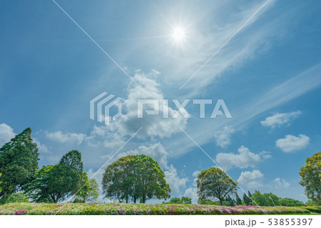 昭和の森 53855397