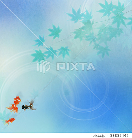背景 和 和風 和柄 和紙 金魚 紅葉 夏 祭り 水色のイラスト素材