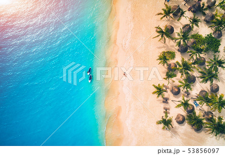 Aerial view of umbrellas, palms on the sandy beach Aerial view of umbrellas, palms on the sandy beach 53856097