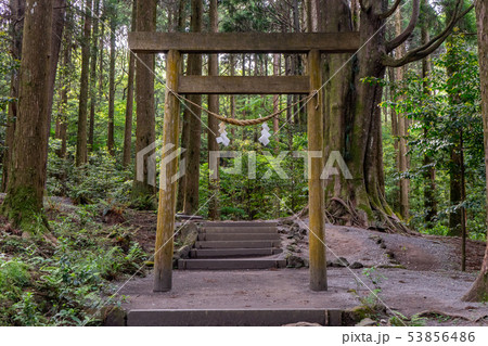 霧島神宮の山神社の鳥居 53856486
