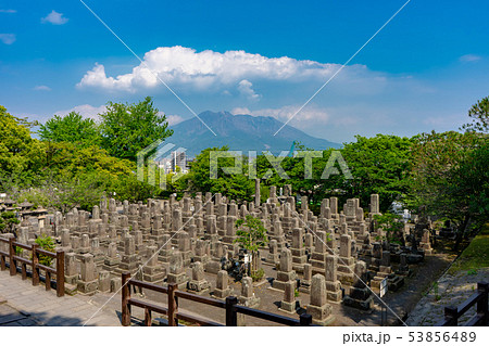 南洲墓地 南洲墓地 53856489